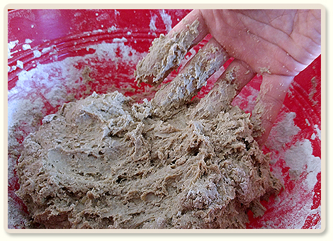 מתכון ללחם שאור שיפון 100%