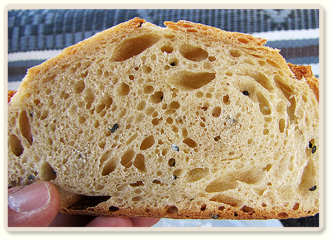 מתכון ללחם שאור לבן עם בירה וקצח