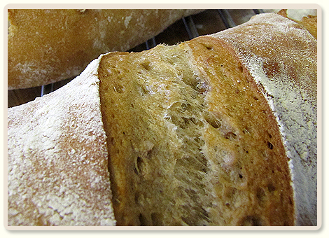 מתכון ללחם חורף כפרי עם אגוזי פקאן