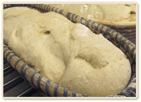 מתכון לחם תפוחי אדמה ובצל