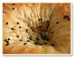 טשקנט נון לחם אוזבקי