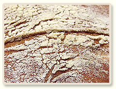 לחם בסגנון טוסקנה