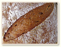 לחם שאור מלא עם שיפון