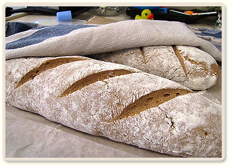 לחם שאור מלא עם שיפון