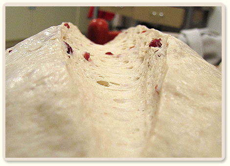 מתכון ללחם חמוציות