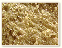 מתכון ללחם לבן לכריכים