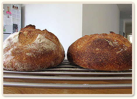 מדריך: אפיית לחם בכלי חרס