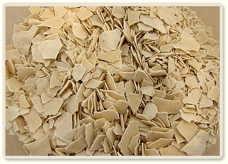 החייאת שאור יבש