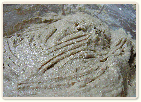 שאלות ותשובות לגבי שאור