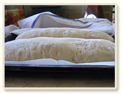 לחם ללא לישה